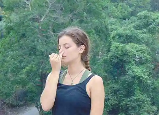 Astrology and Yoga Teacher Training Course Rishikesh